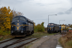 SMM_5296