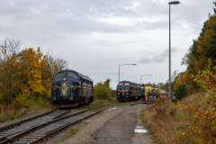 SMM_5298