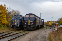SMM_5313