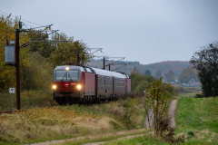 SMM_5356
