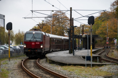 SMM_5393