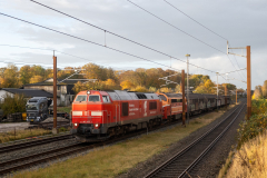 SMM_0781