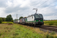 SMM_4043