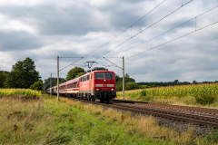 SMM_4075