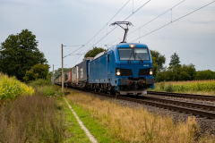 SMM_4576