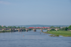 SMM_9532