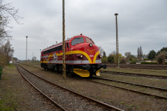 SMM_4449