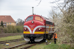 SMM_4465