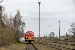 SMM_4474