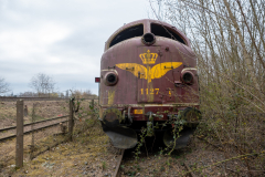 SMM_4484