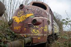 SMM_4491