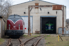 SMM_4517