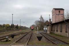 SMM_4521