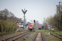 SMM_4527