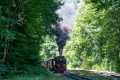 SMM_1091