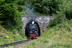 SMM_1146