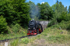 SMM_1151