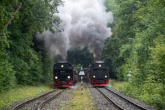 SMM_1275
