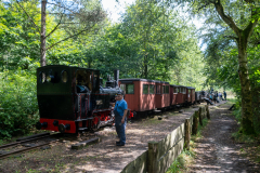 SMM_7523