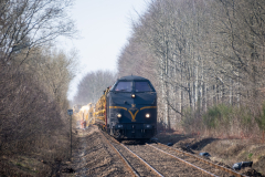 SMM_4133