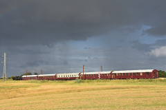 DSC_5296