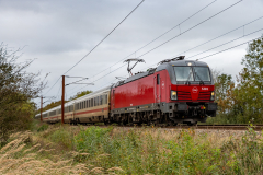 SMM_5261
