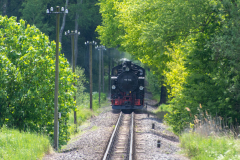 SMM_8455