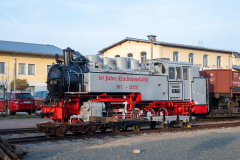 SMM_4582