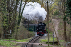 SMM_4631