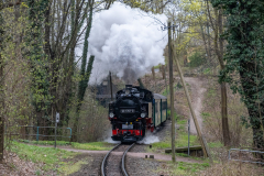 SMM_4636