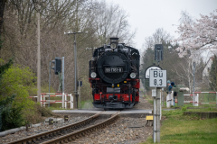 SMM_4656