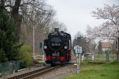 SMM_4658