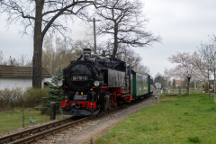 SMM_4661