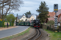 SMM_5927