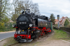SMM_5936