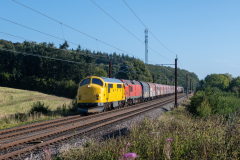 SMM_5927