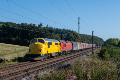 SMM_5929