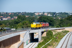 SMM_4739