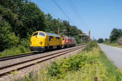 SMM_4774