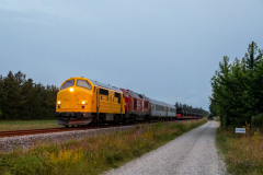 SMM_3761