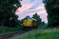 SMM_3778