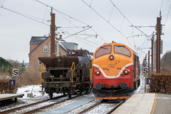 SMM_8619
