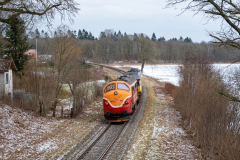 SMM_8691