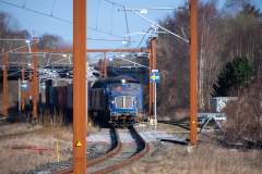 SMM_9874