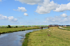 DSC_4320