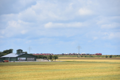 DSC_4394