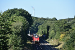 DSC_8214