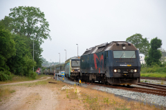 SMM_9868