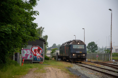 SMM_9881