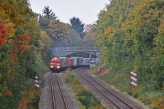 DSC_4646
